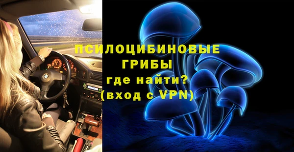 мдпв Пересвет