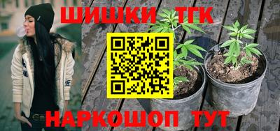 гидропоника Гатчина