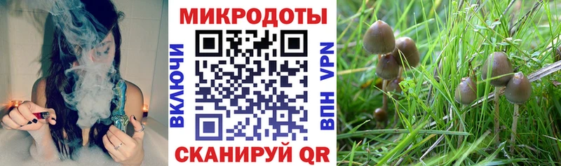 Псилоцибиновые грибы Psilocybine cubensis  сколько стоит  сайты даркнета как зайти  Кириши 
